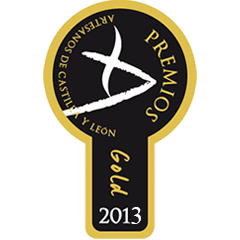 logo premio 2013 gold